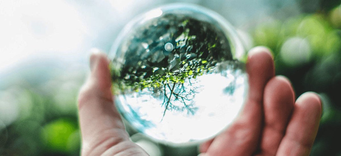 Eco Friendly Products