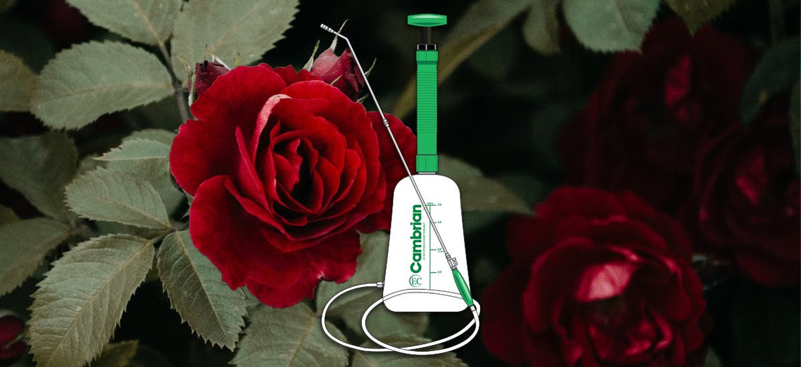 Garden Sprayers & Cambrian Parts