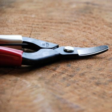 Harvest shears Okatsune 301 with curved blade - Growing Potential