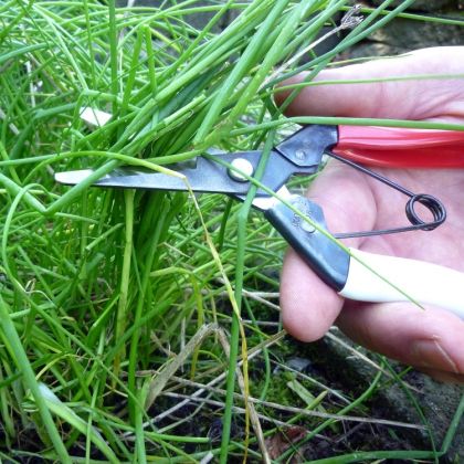 Thinning shears Okatsune 306 with rounded tip to prevent damage - Growing Potential