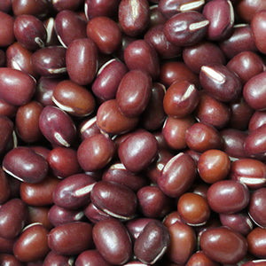 Sprout Starter Kit - Growing Potential