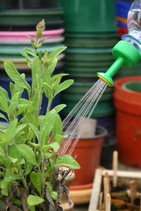Water Bottle Spray Nozzle - Growing Potential