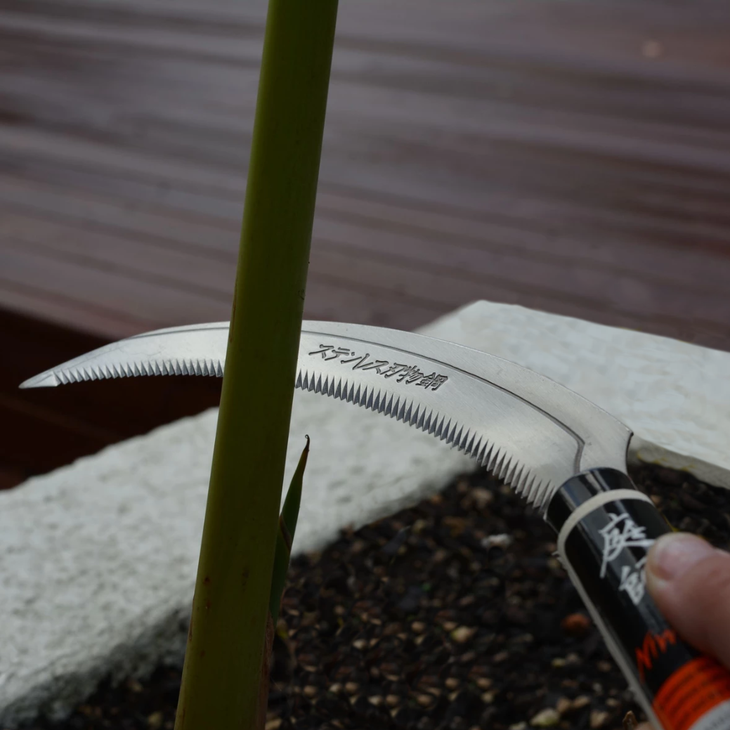 Garden Shark - Growing Potential