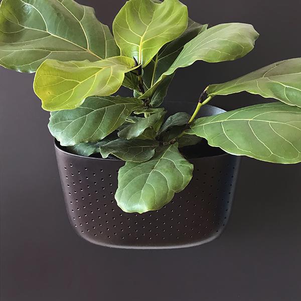 Eco Wall Planter - Espresso