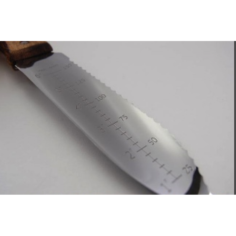 Digi Digi - Growing Potential