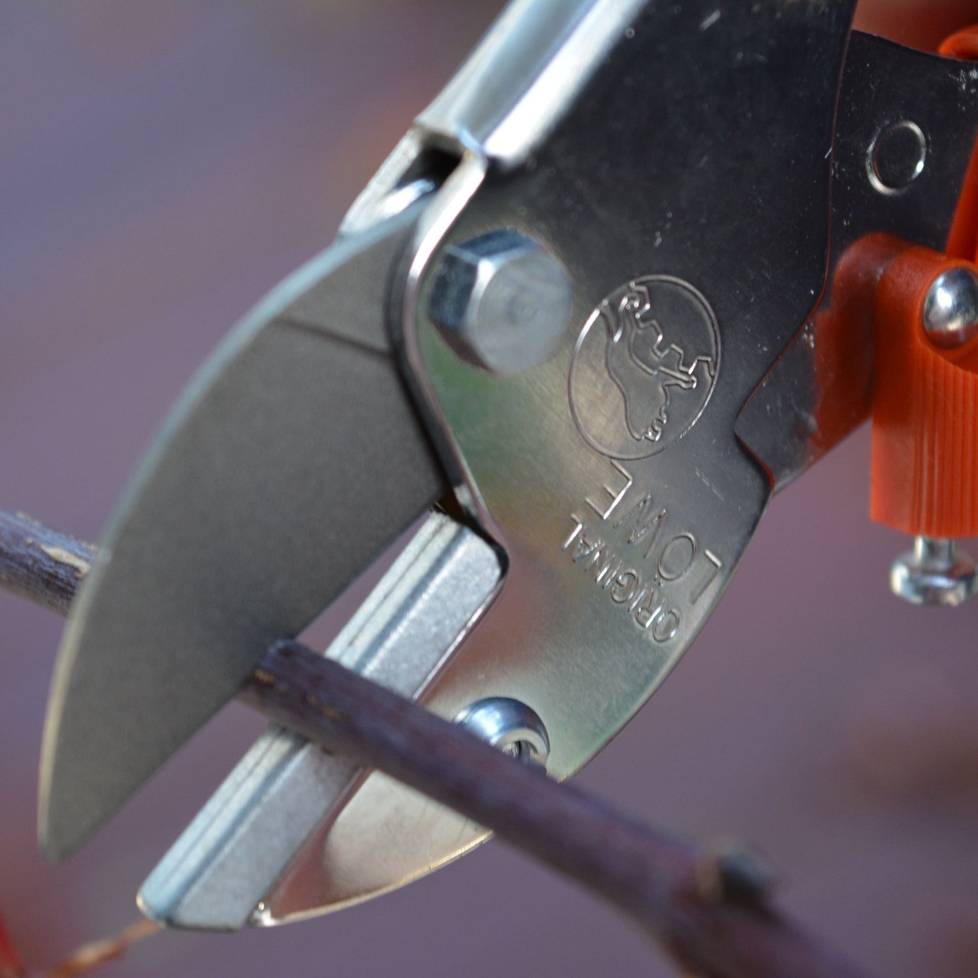 LOWE 5105 Anvil Secateurs 16cm - Growing Potential