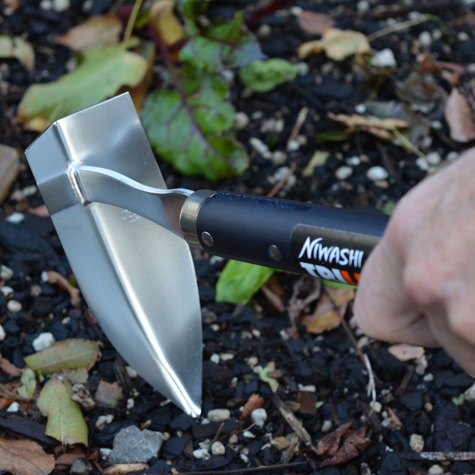 Trilux - Growing Potential