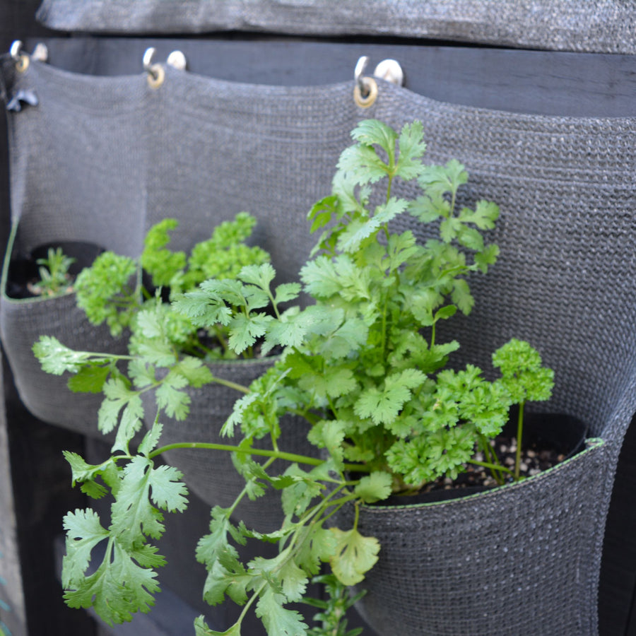 Vertical Hanging Gardens - 3 Pocket - Growing Potential