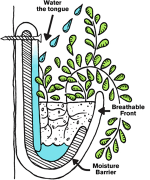 Wally Three - Growing Potential